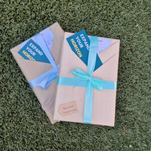 Blind date boek silver sinterklaas cadeau
